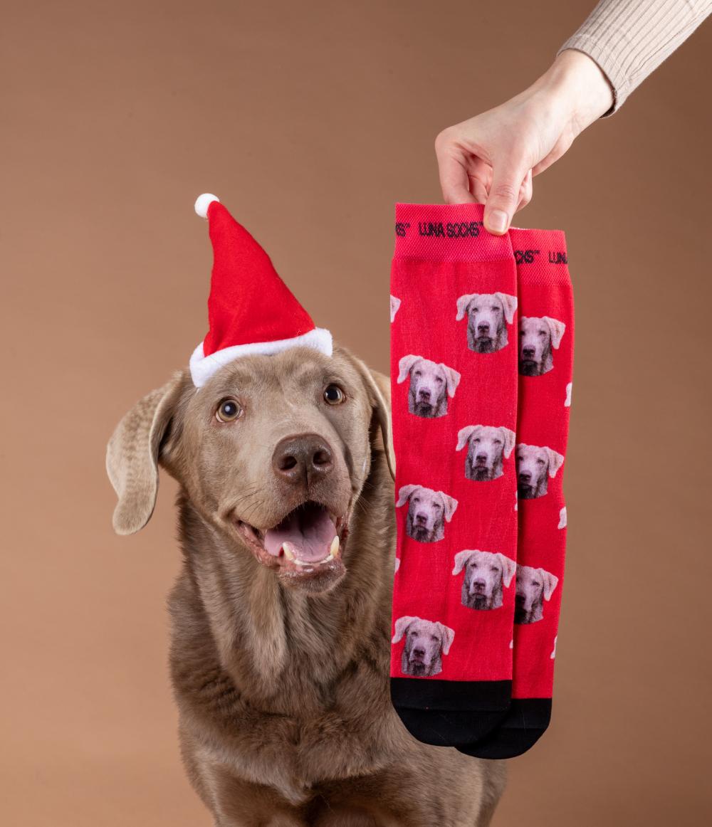 pet face socks