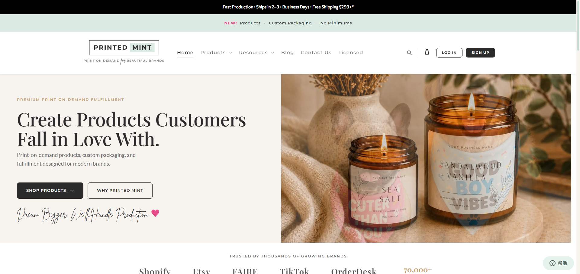 printed mint homepage